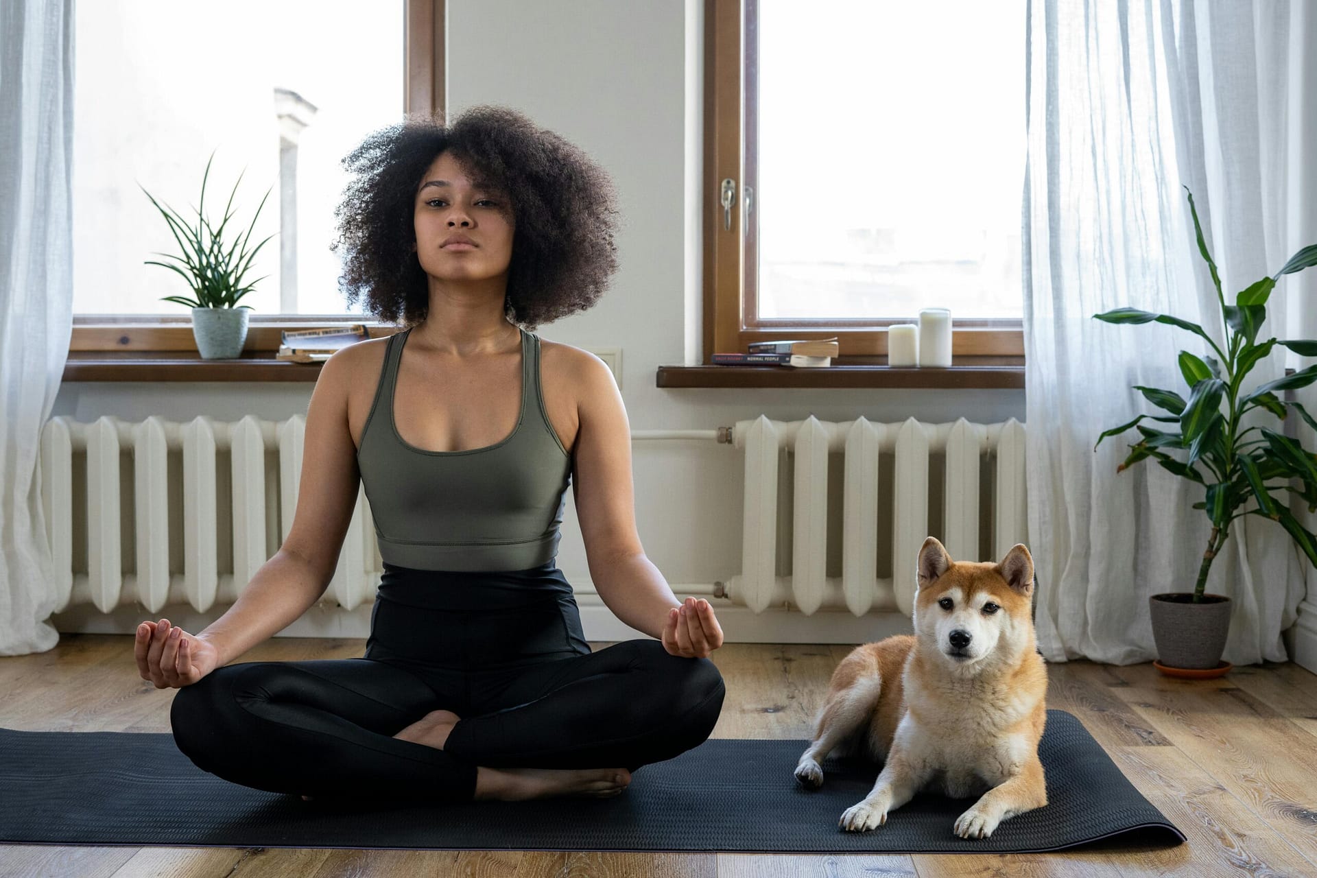 Kostenloses Stock Foto zu achtsamkeit, afro, afro-haar