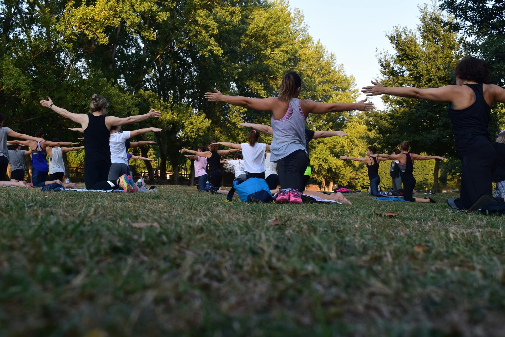 Frauen, Die Yoga Auf GrÃ¼nem Gras In Der NÃ¤he Von BÃ¤umen DurchfÃ¼hren